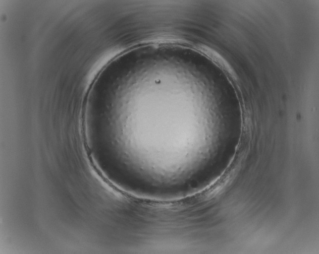 X0000070190855200606021055