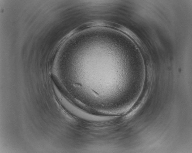 X0000070190857200606021055