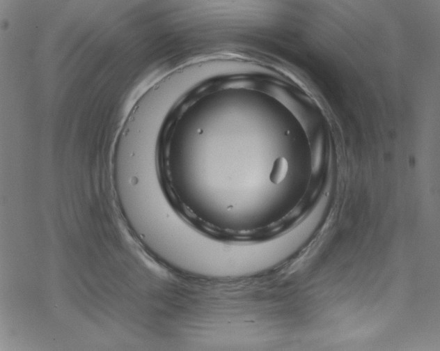 X0000070190858200606021055