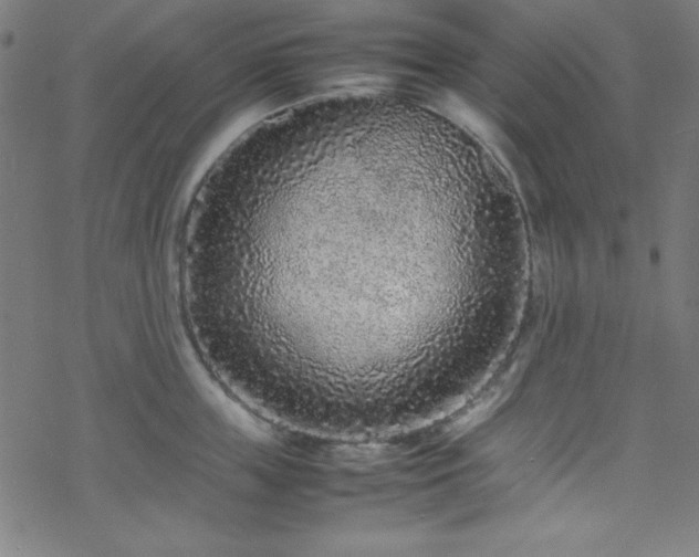 X0000070190859200606021055