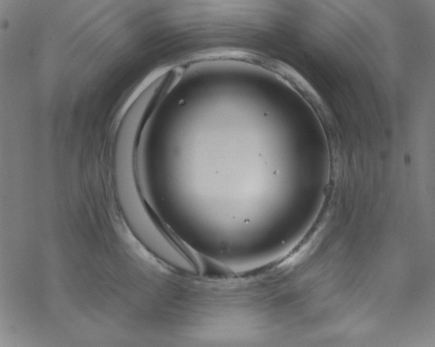 X0000070190860200606021055