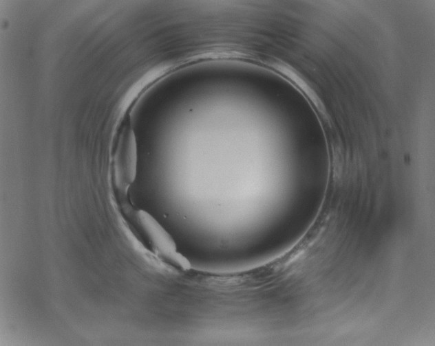 X0000070190861200606021055