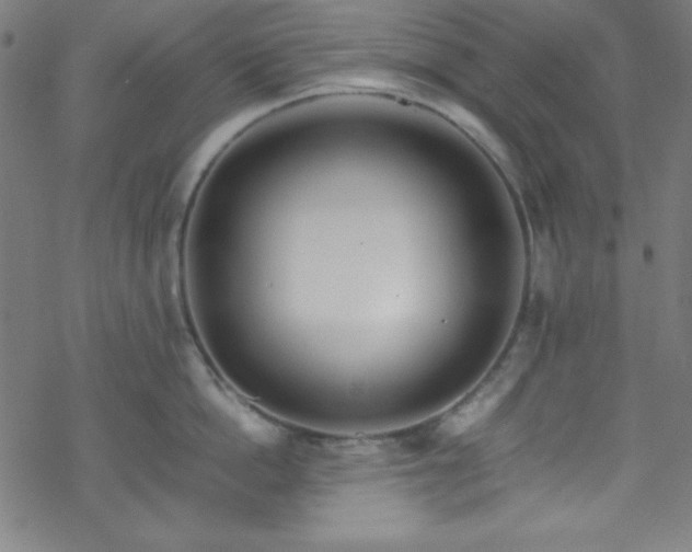 X0000070190862200606021055