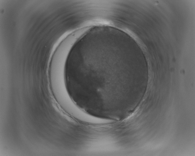 X0000070190864200606021055