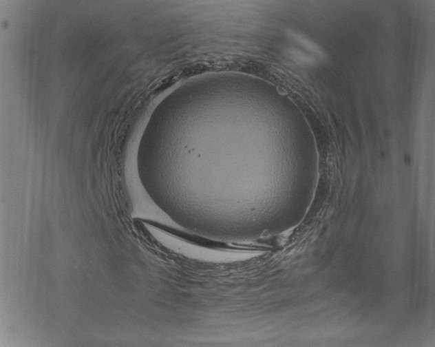 X0000070190865200606021055