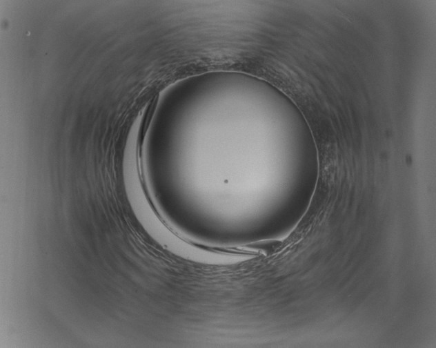 X0000070190866200606021055