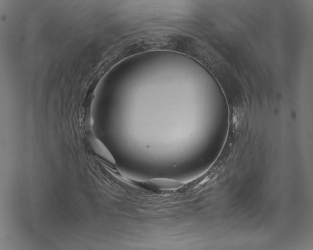 X0000070190867200606021055