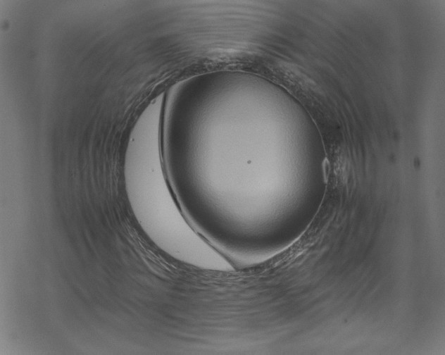 X0000070190868200606021055