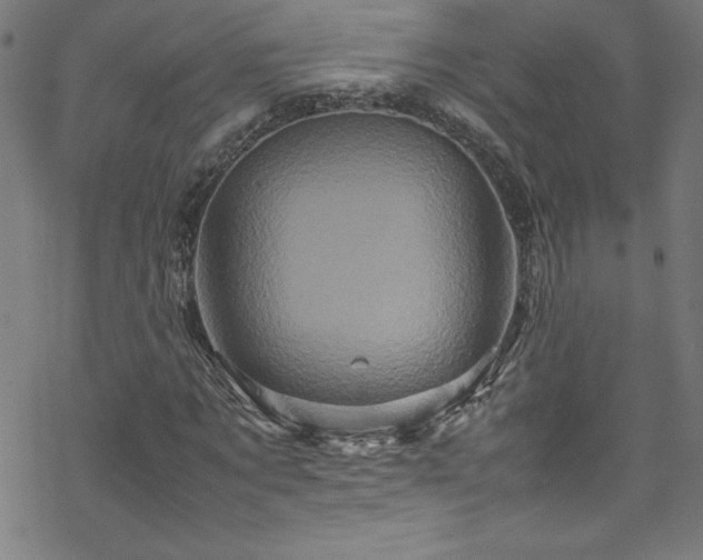 X0000070190869200606021055