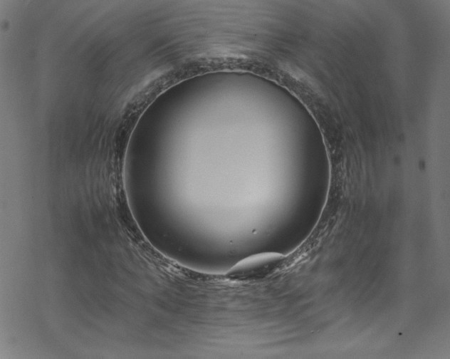 X0000070190870200606021055