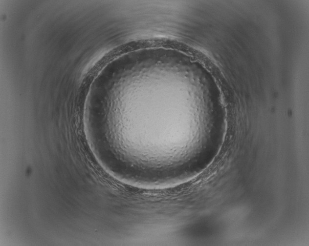 X0000070190871200606021055