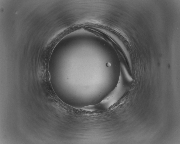 X0000070190872200606021055