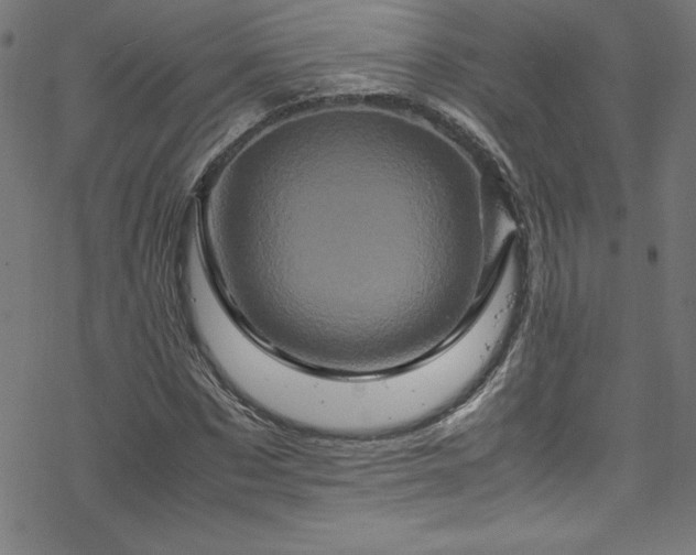 X0000070190873200606021055