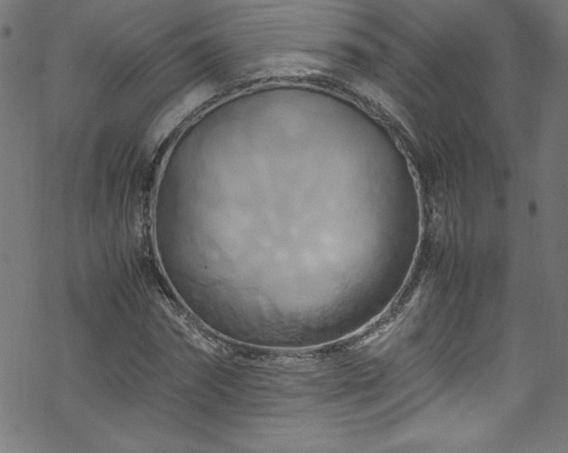 X0000070190874200606021055