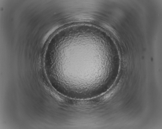 X0000070190875200606021055