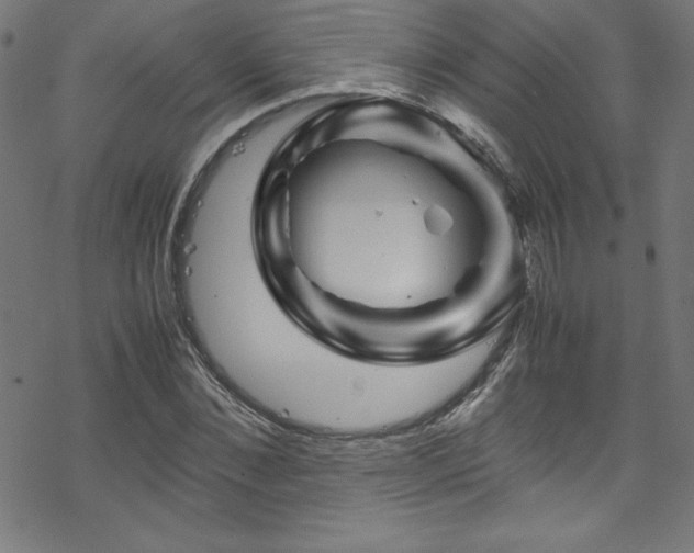 X0000070190876200606021055