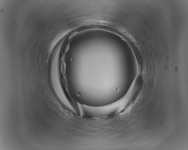 X0000070190877200606021055