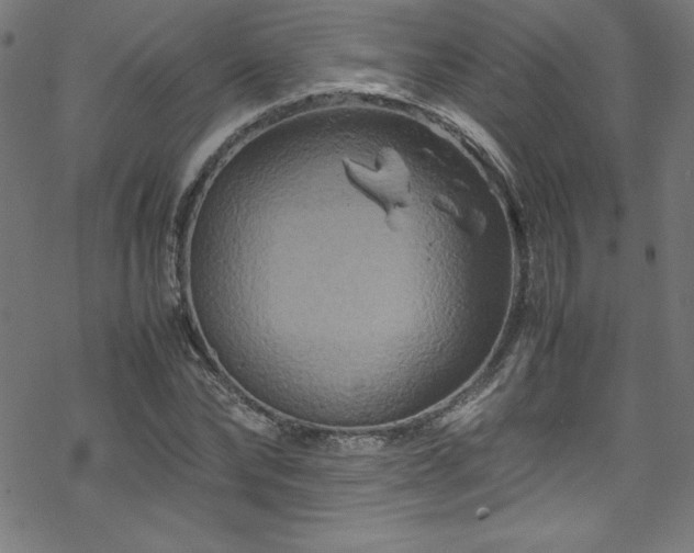 X0000070190878200606021055