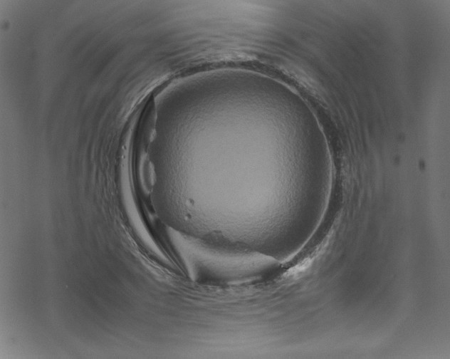 X0000070190881200606021054