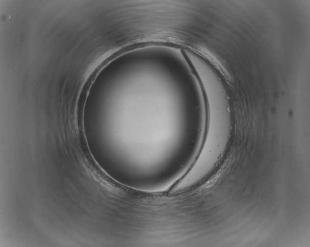 X0000070190884200606021054