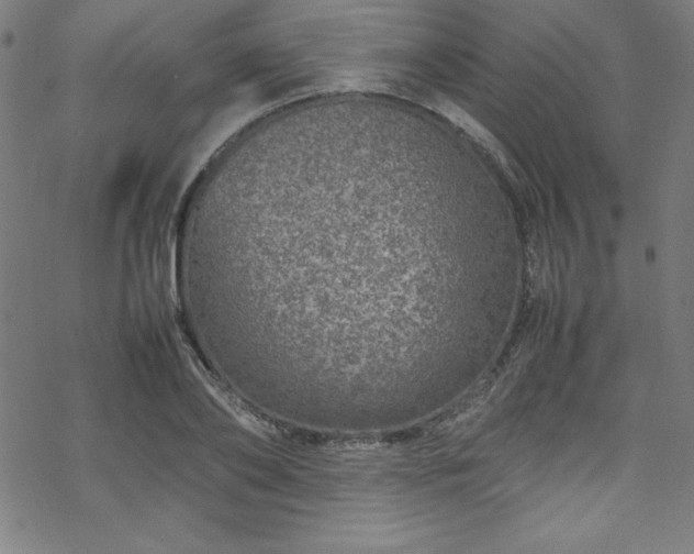 X0000070190886200606021054