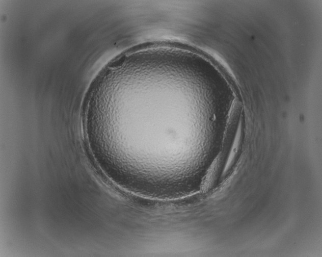 X0000070190887200606021054