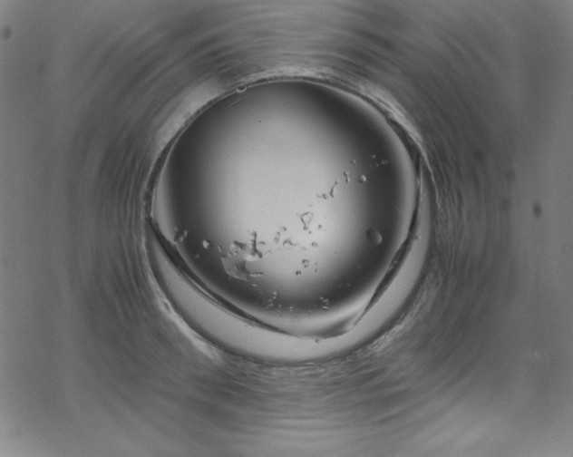 X0000070190898200606021054