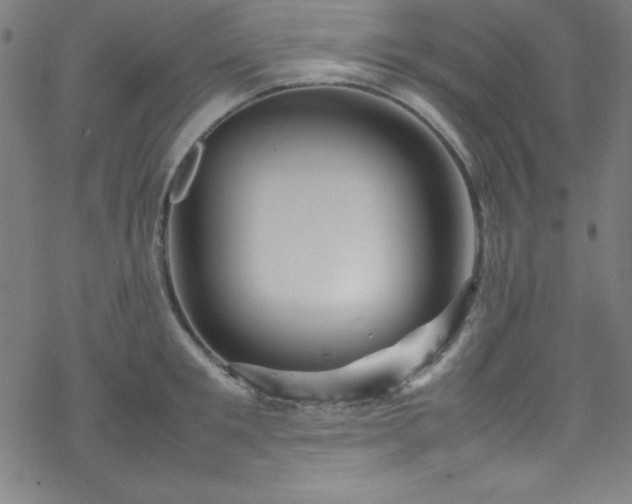 X0000070190901200606021054