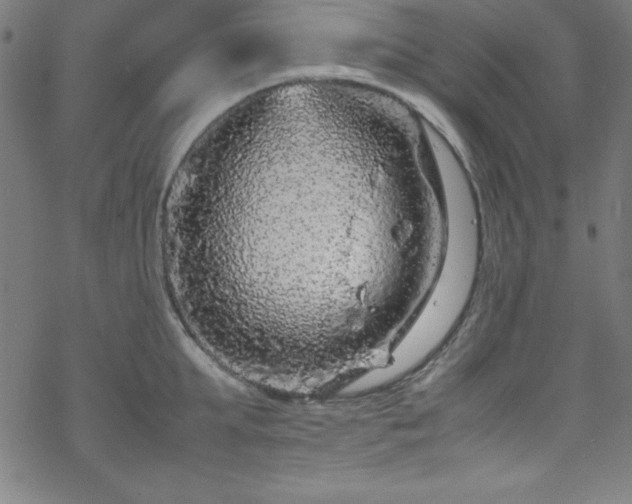 X0000070190903200606021054