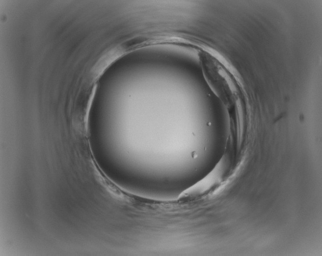 X0000070190905200606021054