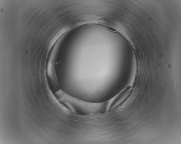 X0000070190906200606021054