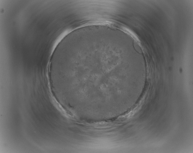 X0000070190907200606021054