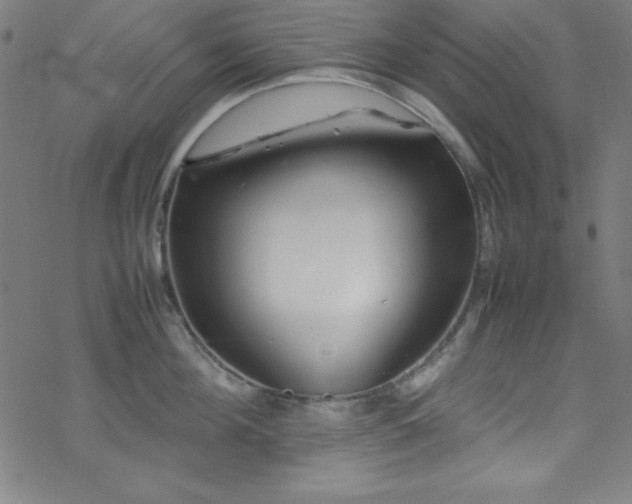 X0000070190908200606021054