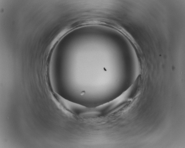 X0000070190909200606021054