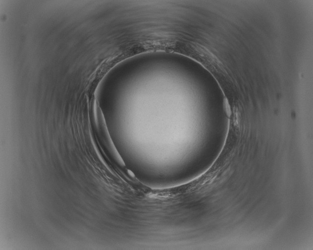 X0000070190915200606021053