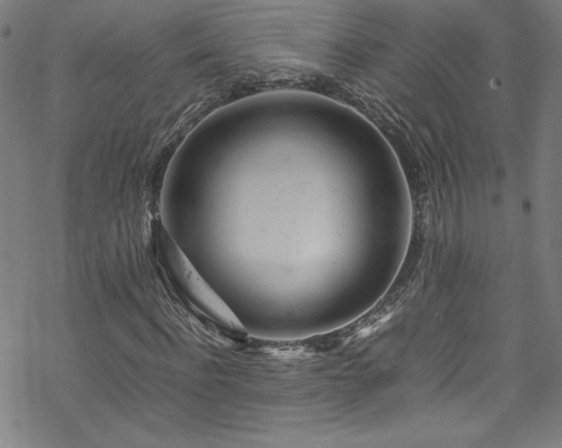 X0000070190916200606021053