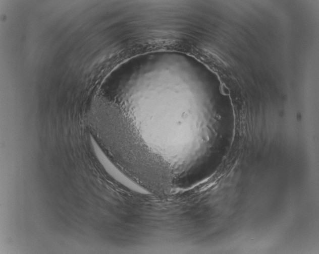 X0000070190917200606021053