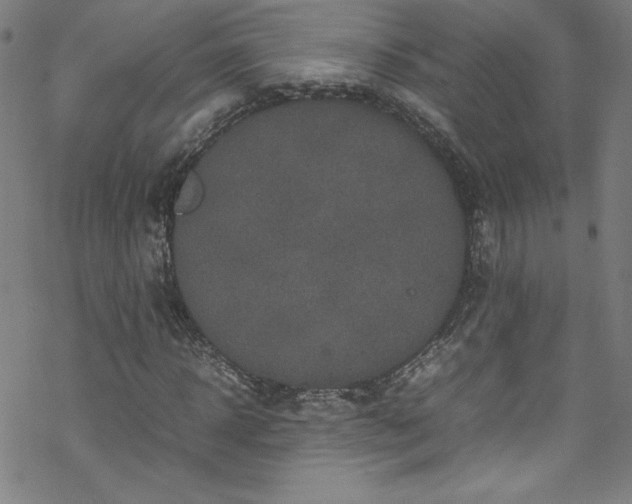 X0000070190918200606021053