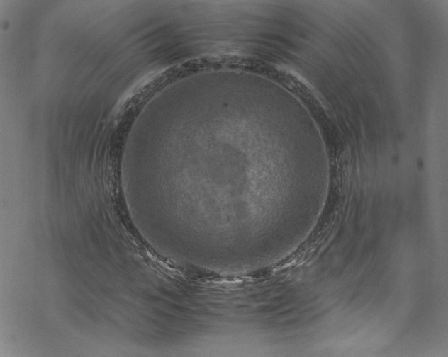 X0000070190919200606021053