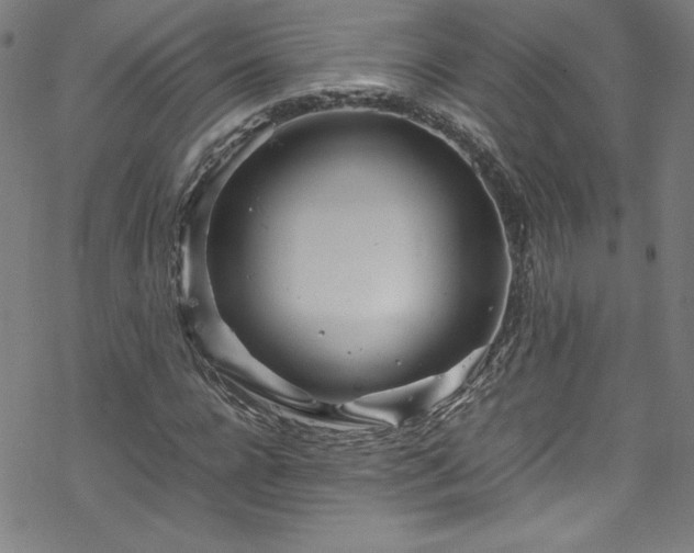 X0000070190920200606021053