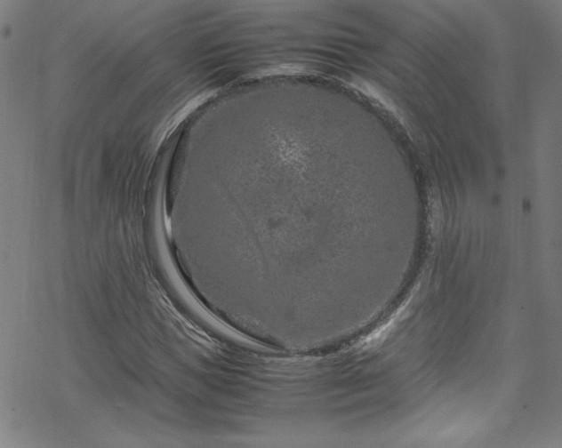 X0000070190921200606021053