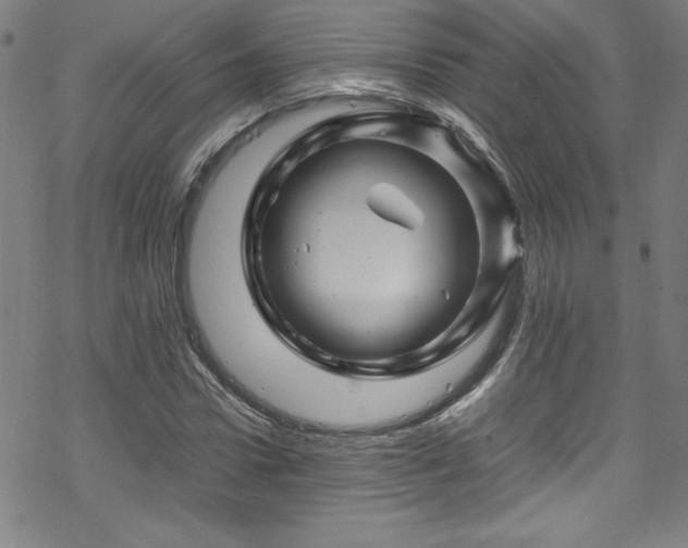 X0000070190922200606021053