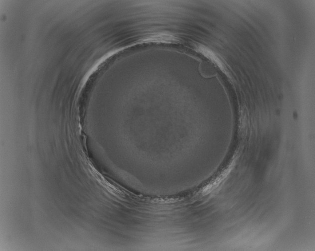 X0000070190923200606021053