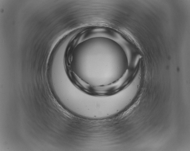 X0000070190924200606021053