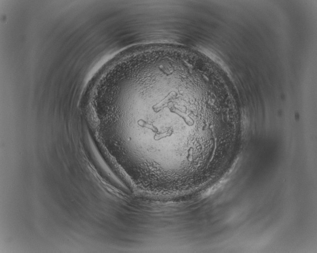 X0000070190925200606021053