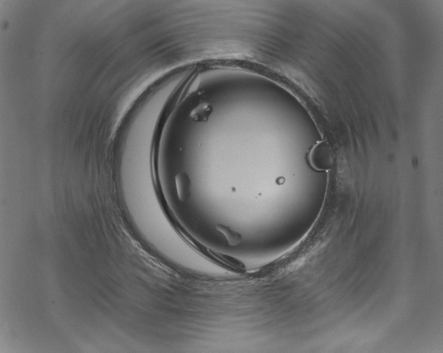 X0000070190926200606021053