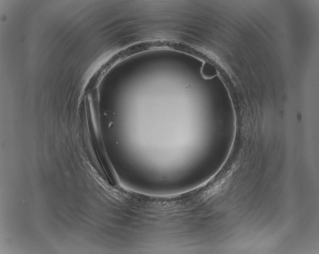 X0000070190927200606021053