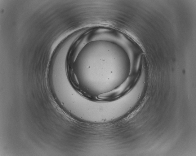 X0000070190928200606021053