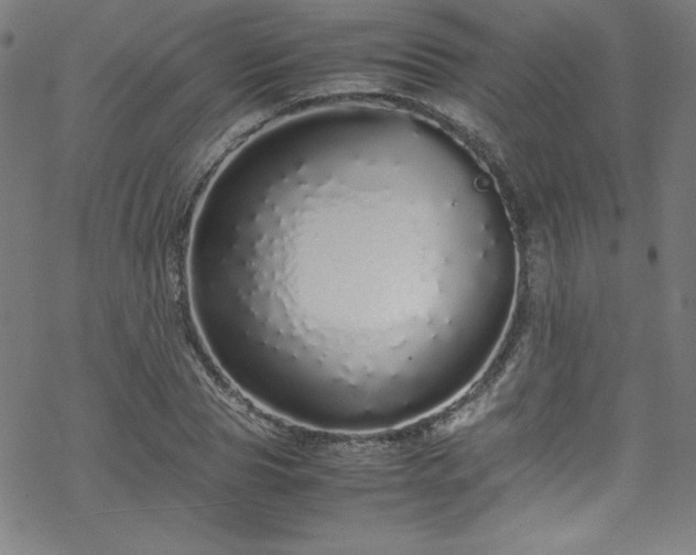 X0000070190929200606021053