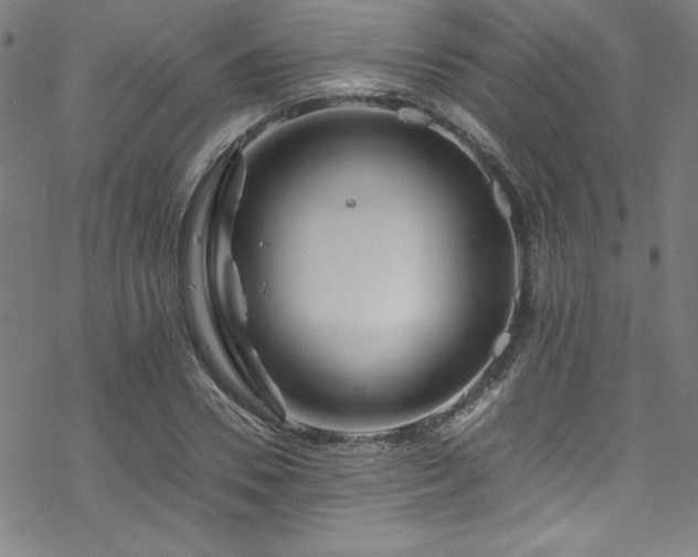 X0000070190930200606021053